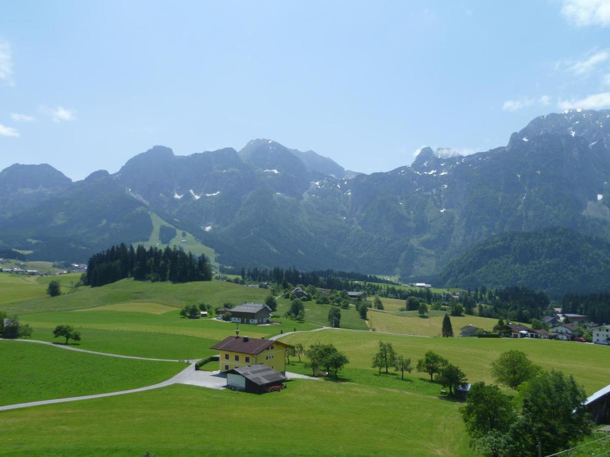 Apartement Obweghof Abtenau, Salzburger Land Екстериор снимка
